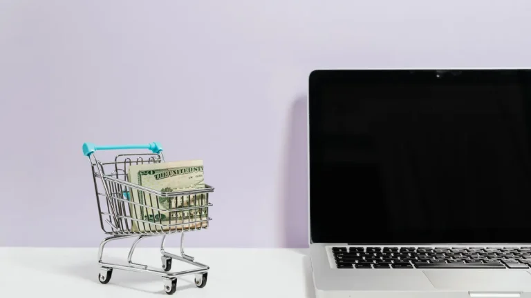 What Is an SEO Lifetime Deal?